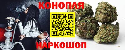 прущие грибы Волгодонск